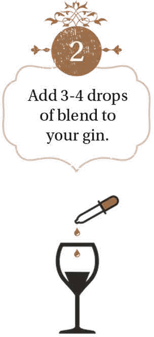 2. Add 3-4 drops of blend to your gin.